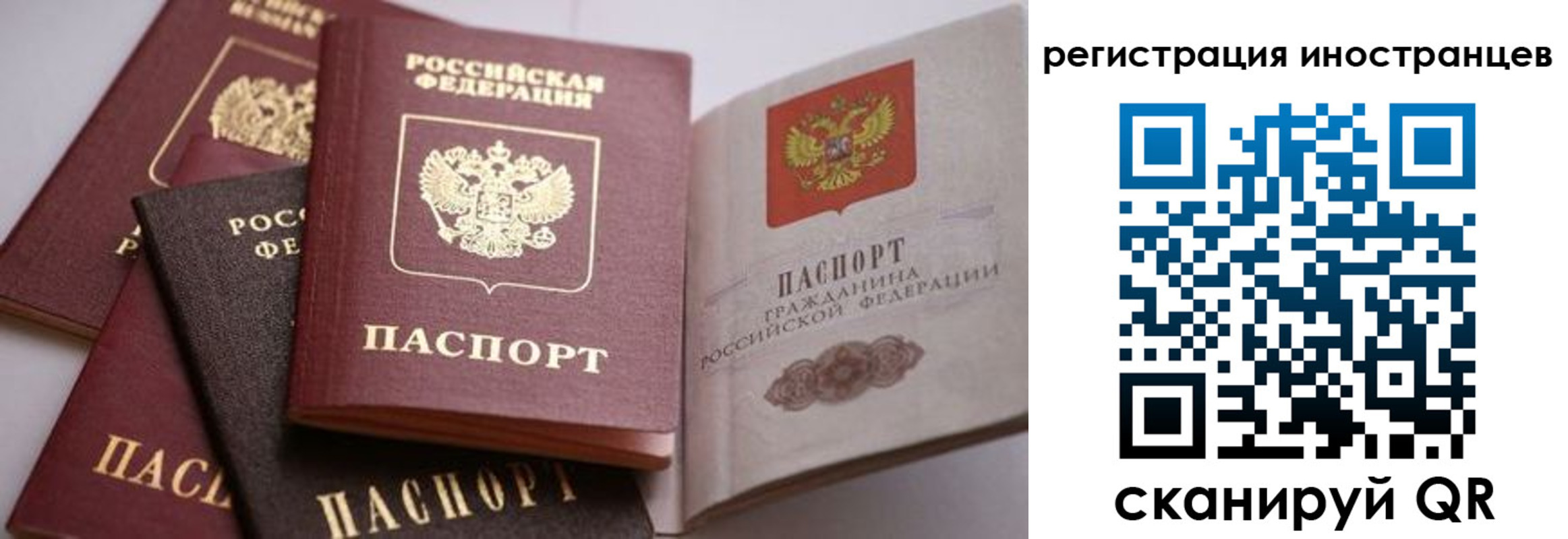 прописка штамп в Мариинском Посаде